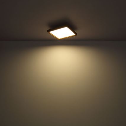 Globo - LED Stropné svietidlo LED/36W/230V 2700/4500/6500K 60x60 cm