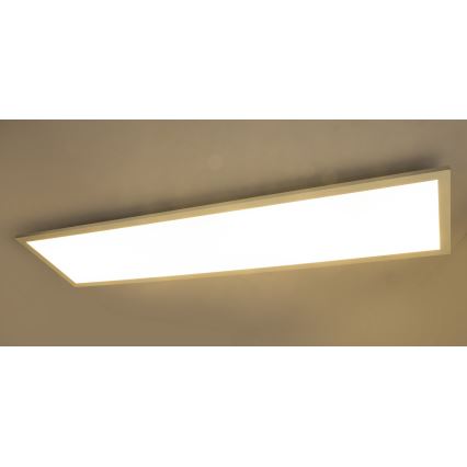 Globo - LED Prisadený panel LED/40W/230V