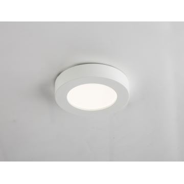 GLOBO 41605-16D - LED Kúpeľňové stropné svietidlo PAULA 1xLED/16W/230V IP44