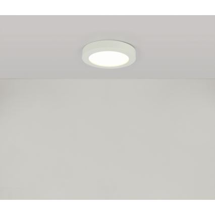 Globo - LED Kúpeľňové stropné svietidlo 1xLED/16W/230V