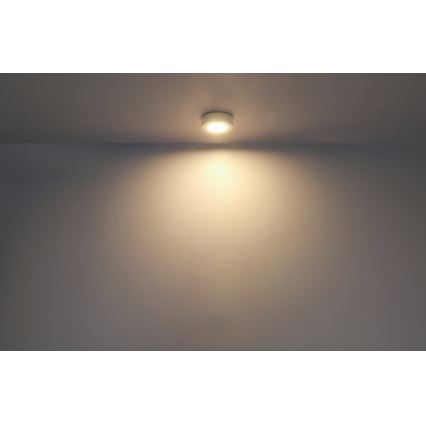 GLOBO - LED Stropné svietidlo LED/6W/230V