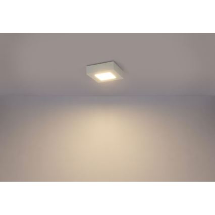 GLOBO 41606-6 - LED Kúpeľňové stropné svietidlo SVENJA 1xLED/6W/230V IP44