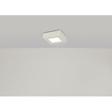 GLOBO - LED Stropné svietidlo LED/6W/230V