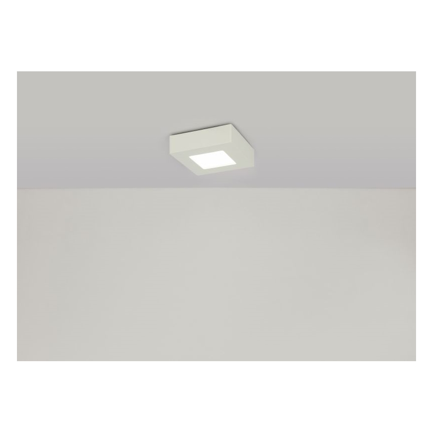 GLOBO 41606-6 - LED Kúpeľňové stropné svietidlo SVENJA 1xLED/6W/230V IP44