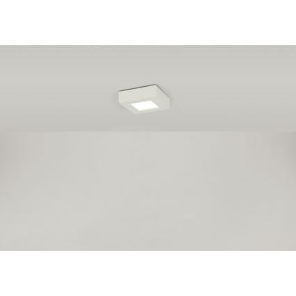 Globo - LED Stropné svietidlo SVENJA 1xLED/9W/230V 3000/4000/6000K