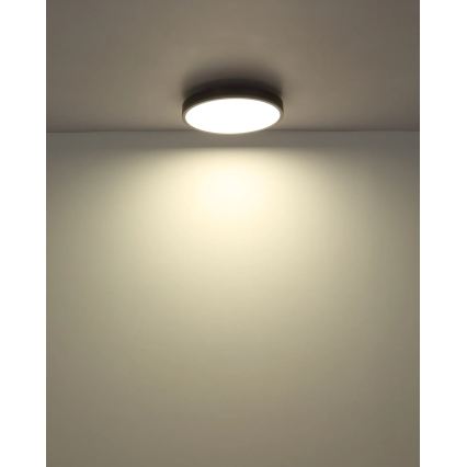 Globo - LED Stmievateľné stropné svietidlo LED/24W/230V 2700-6500K pr. 45 cm + diaľkové ovládanie