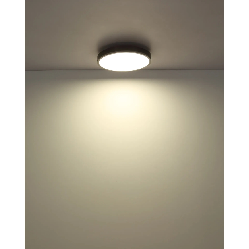 Globo - LED Stmievateľné stropné svietidlo LED/24W/230V 2700-6500K pr. 45 cm + diaľkové ovládanie