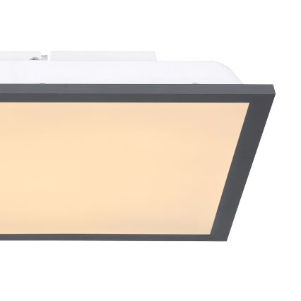 Globo - LED Stropné svietidlo LED/12W/230V