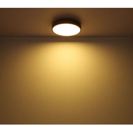 Globo - LED Stropné svietidlo LED/12W/230V pr. 30 cm