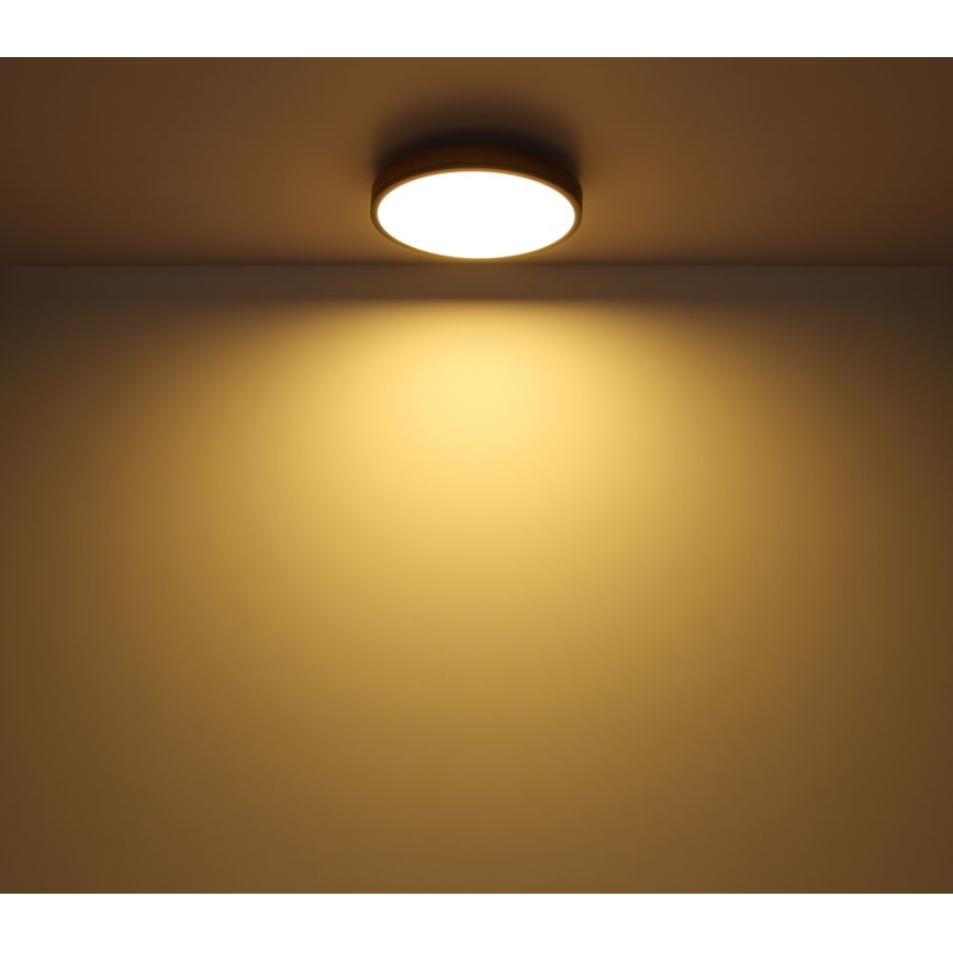 Globo - LED Stropné svietidlo LED/12W/230V pr. 30 cm