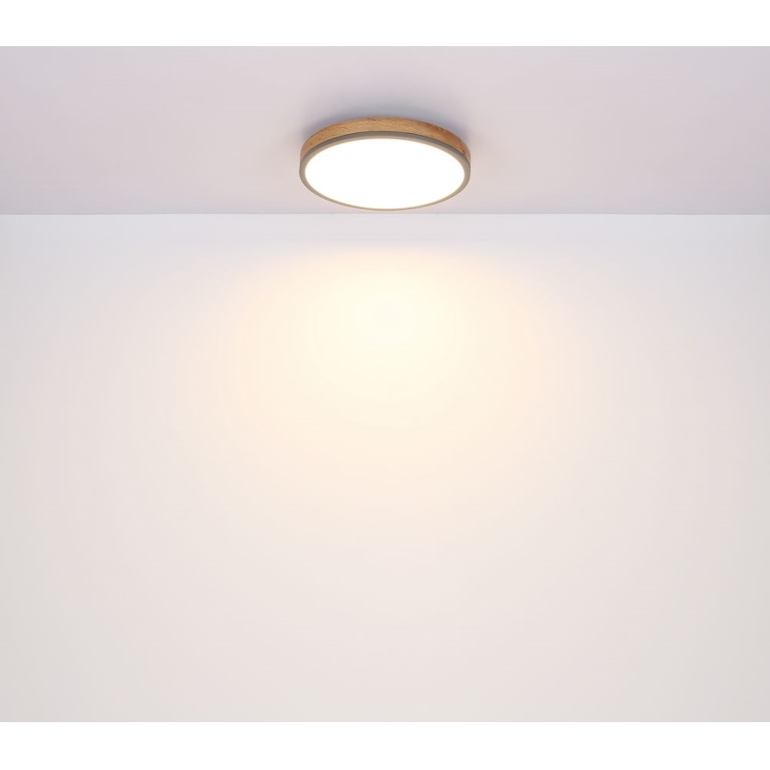 Globo - LED Stropné svietidlo LED/12W/230V pr. 30 cm