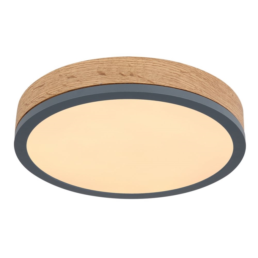 Globo - LED Stropné svietidlo LED/12W/230V pr. 30 cm