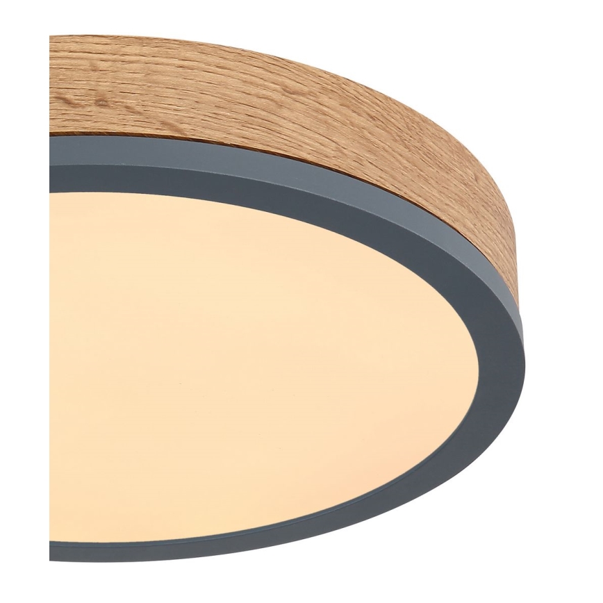 Globo - LED Stropné svietidlo LED/12W/230V pr. 30 cm