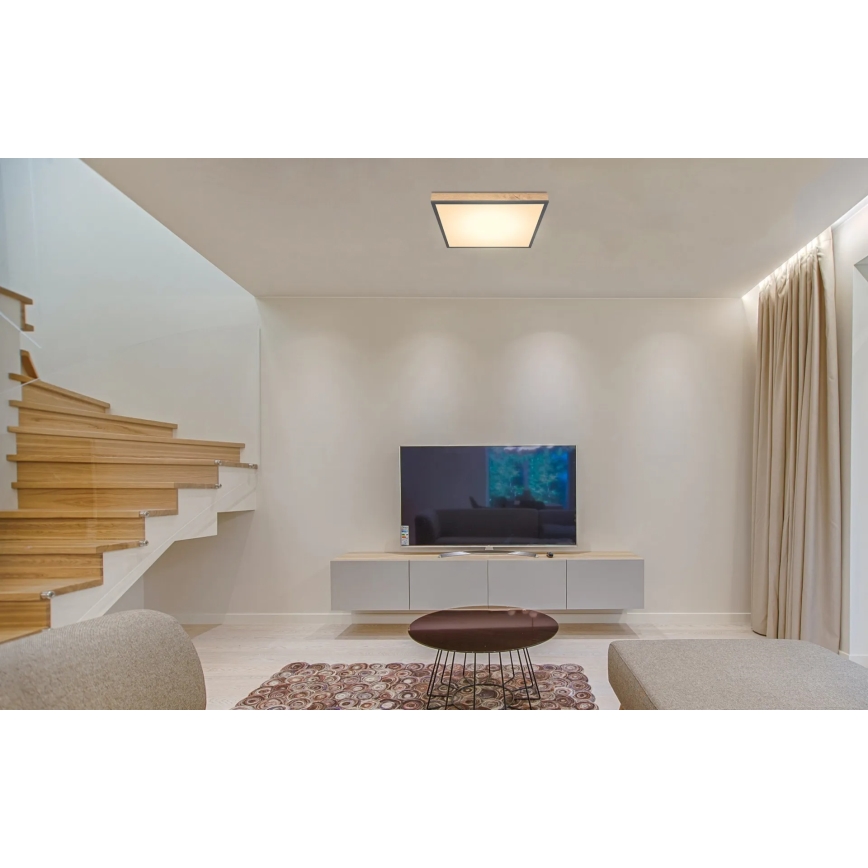Globo - LED stmievateľné stropné svietidlo LED/24W/230V 3000-6500K 45x45 cm