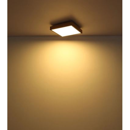 Globo - LED stmievateľné stropné svietidlo LED/24W/230V 3000-6500K 45x45 cm