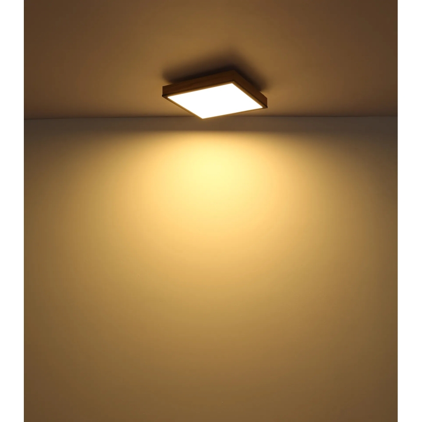 Globo - LED stmievateľné stropné svietidlo LED/24W/230V 3000-6500K 45x45 cm