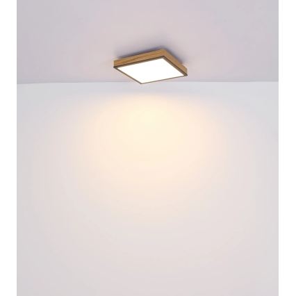 Globo - LED stmievateľné stropné svietidlo LED/24W/230V 3000-6500K 45x45 cm