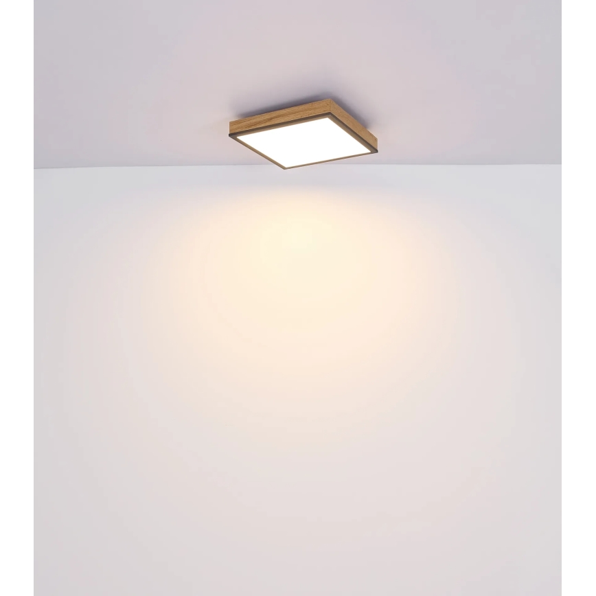 Globo - LED stmievateľné stropné svietidlo LED/24W/230V 3000-6500K 45x45 cm