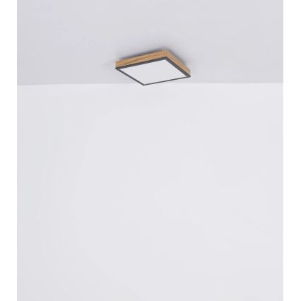 Globo - LED stmievateľné stropné svietidlo LED/24W/230V 3000-6500K 45x45 cm