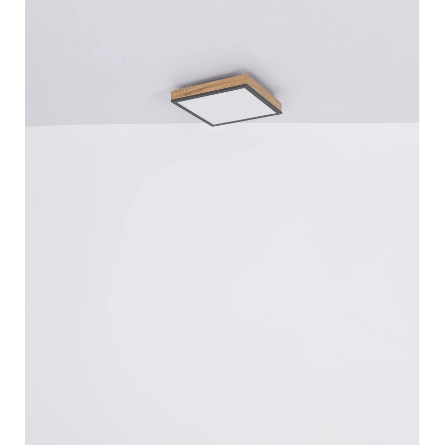 Globo - LED stmievateľné stropné svietidlo LED/24W/230V 3000-6500K 45x45 cm