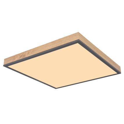 Globo - LED stmievateľné stropné svietidlo LED/24W/230V 3000-6500K 45x45 cm
