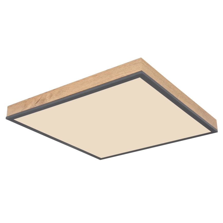 Globo - LED stmievateľné stropné svietidlo LED/24W/230V 3000-6500K 45x45 cm