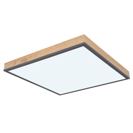 Globo - LED stmievateľné stropné svietidlo LED/24W/230V 3000-6500K 45x45 cm