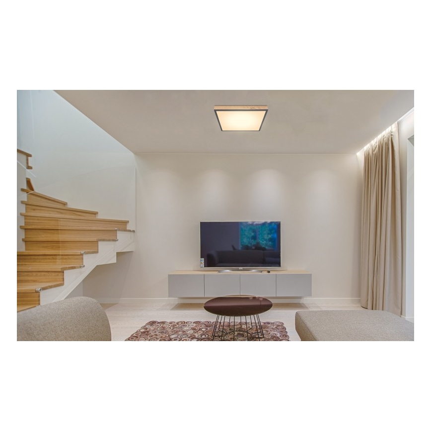 Globo - LED Stropné svietidlo LED/24W/230V