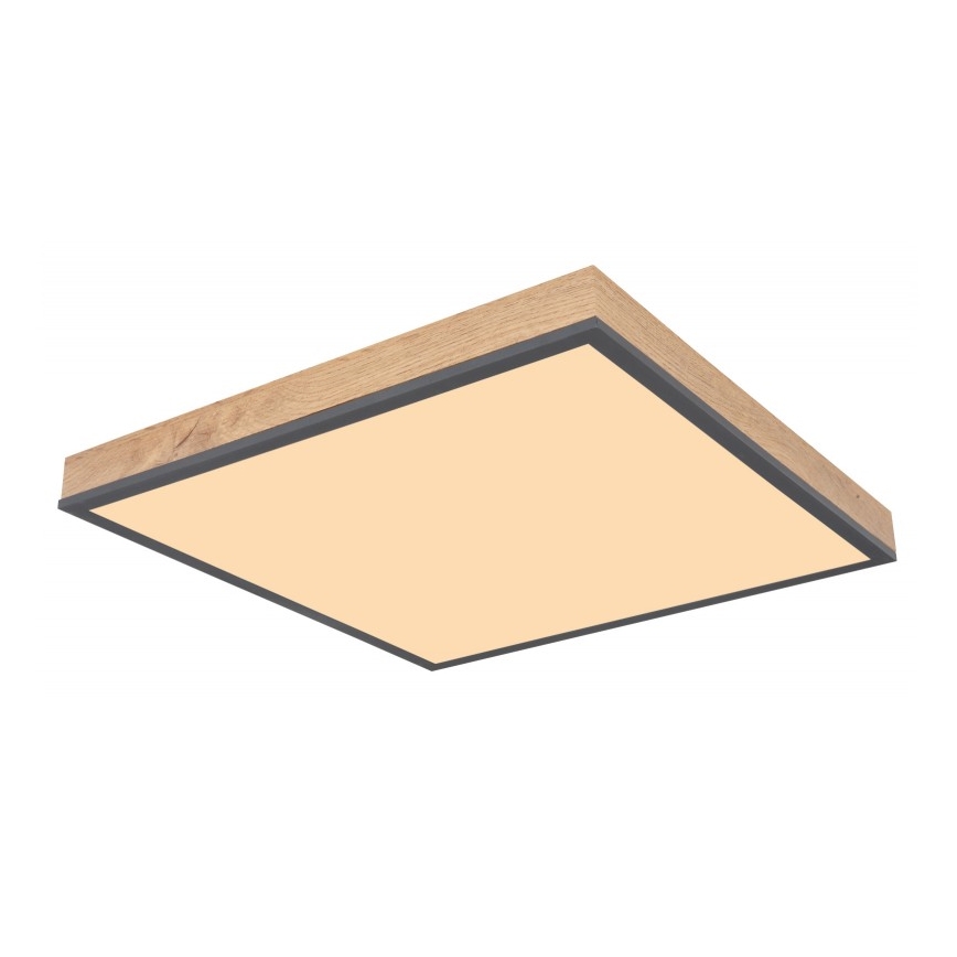 Globo - LED Stropné svietidlo LED/24W/230V