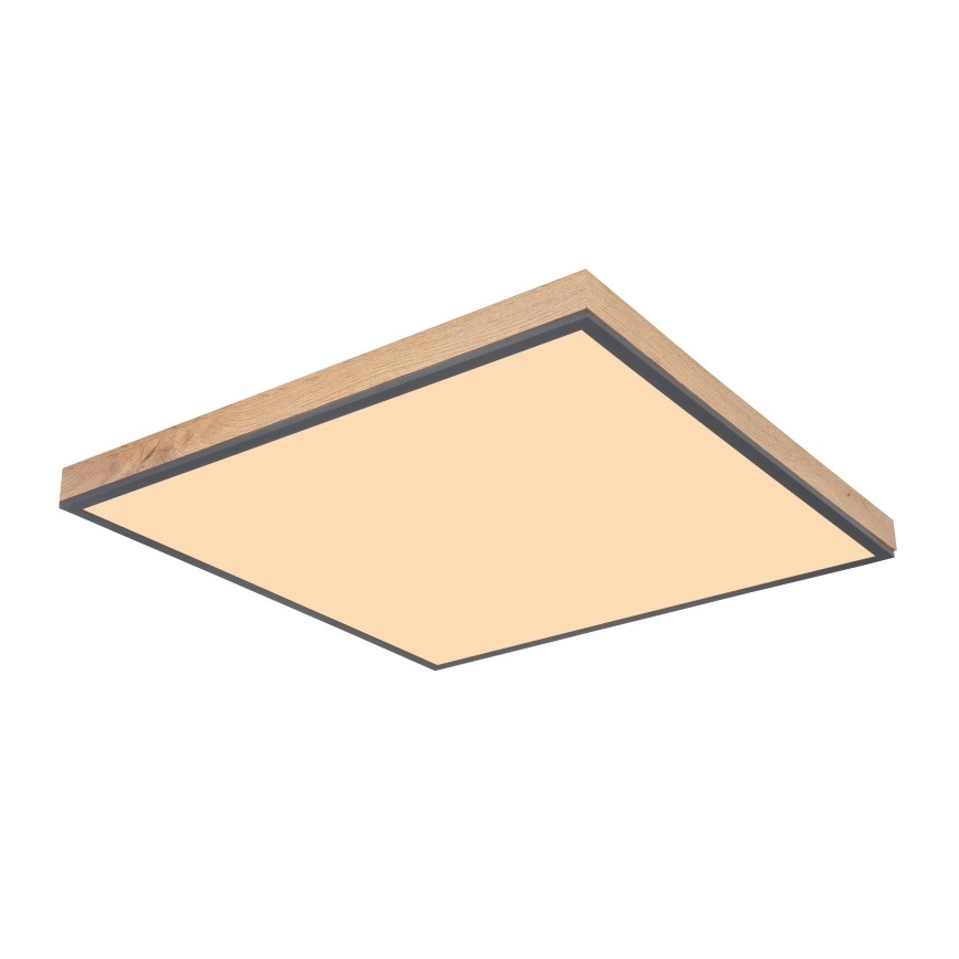 Globo - LED Stropné svietidlo LED/36W/230V