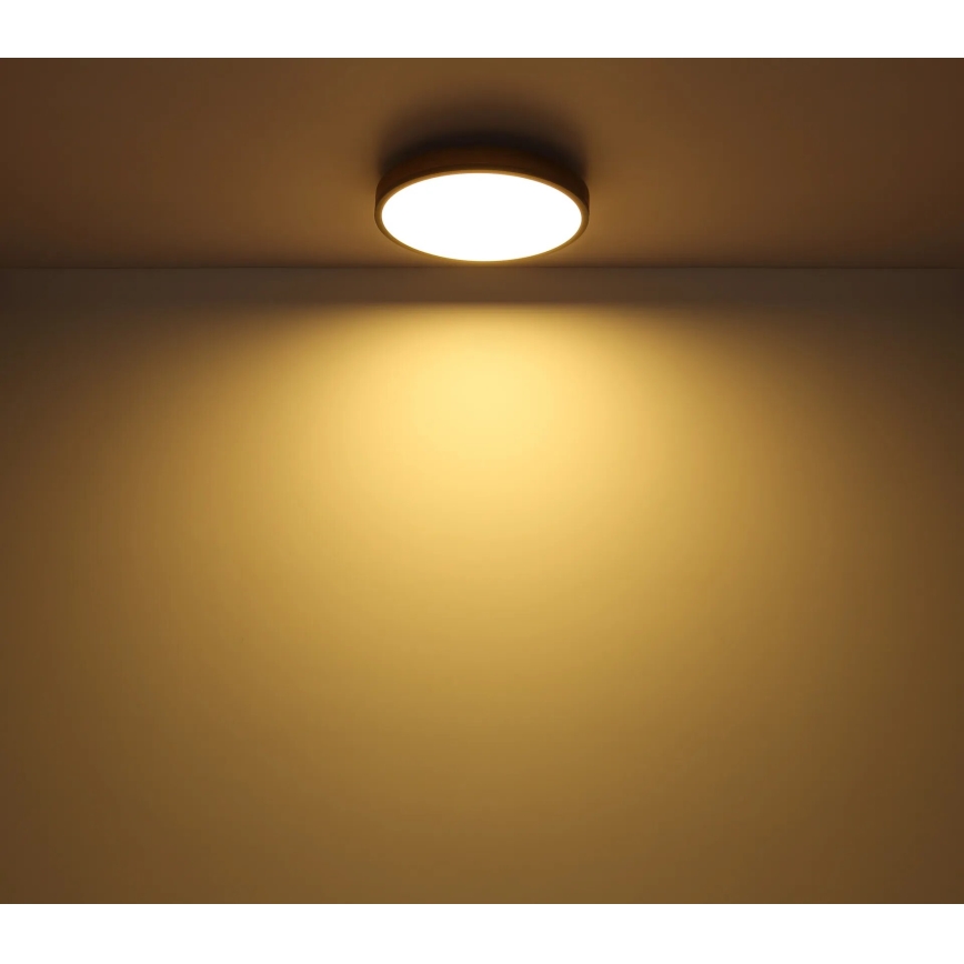 Globo - LED Stmievateľné stropné svietidlo LED/40W/230V 2700-6500K pr. 60 cm + diaľkové ovládanie hnedá/šedá