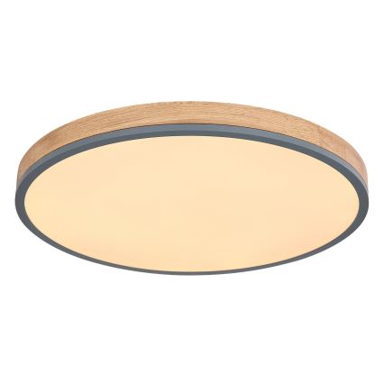 Globo - LED Stmievateľné stropné svietidlo LED/40W/230V 2700-6500K pr. 60 cm + diaľkové ovládanie hnedá/šedá
