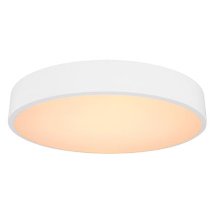 Globo - LED Stmievateľné stropné svietidlo LED/24W/230V 3000-6000K + diaľkové ovládanie