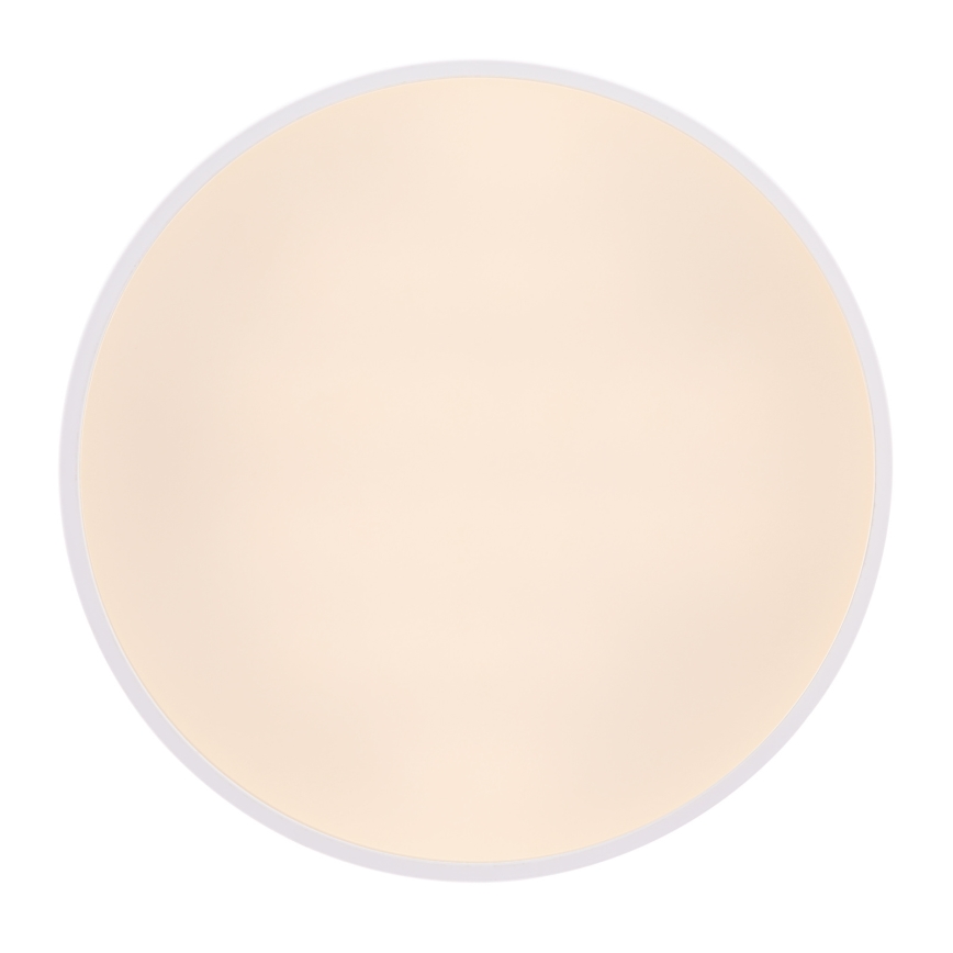 Globo - LED Stmievateľné stropné svietidlo LED/24W/230V 3000-6000K + diaľkové ovládanie