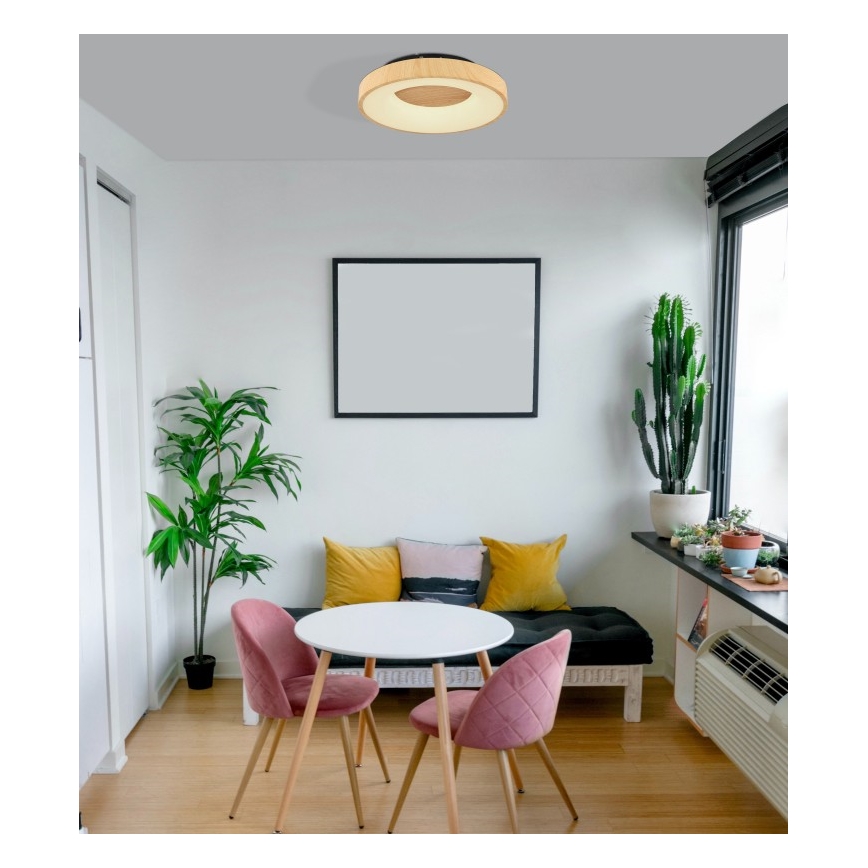 Globo - LED Stmievateľné stropné svietidlo LED/30W/230V + diaľkové ovládanie
