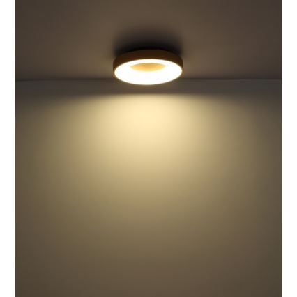 Globo - LED Stmievateľné stropné svietidlo LED/30W/230V + diaľkové ovládanie
