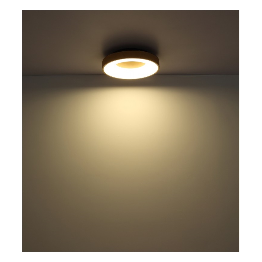 Globo - LED Stmievateľné stropné svietidlo LED/30W/230V + diaľkové ovládanie