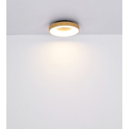 Globo - LED Stmievateľné stropné svietidlo LED/30W/230V + diaľkové ovládanie