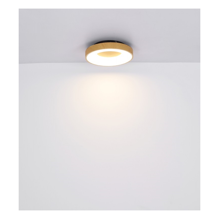 Globo - LED Stmievateľné stropné svietidlo LED/30W/230V + diaľkové ovládanie