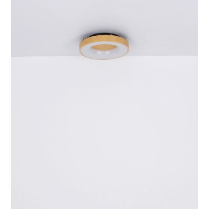 Globo - LED Stmievateľné stropné svietidlo LED/30W/230V + diaľkové ovládanie