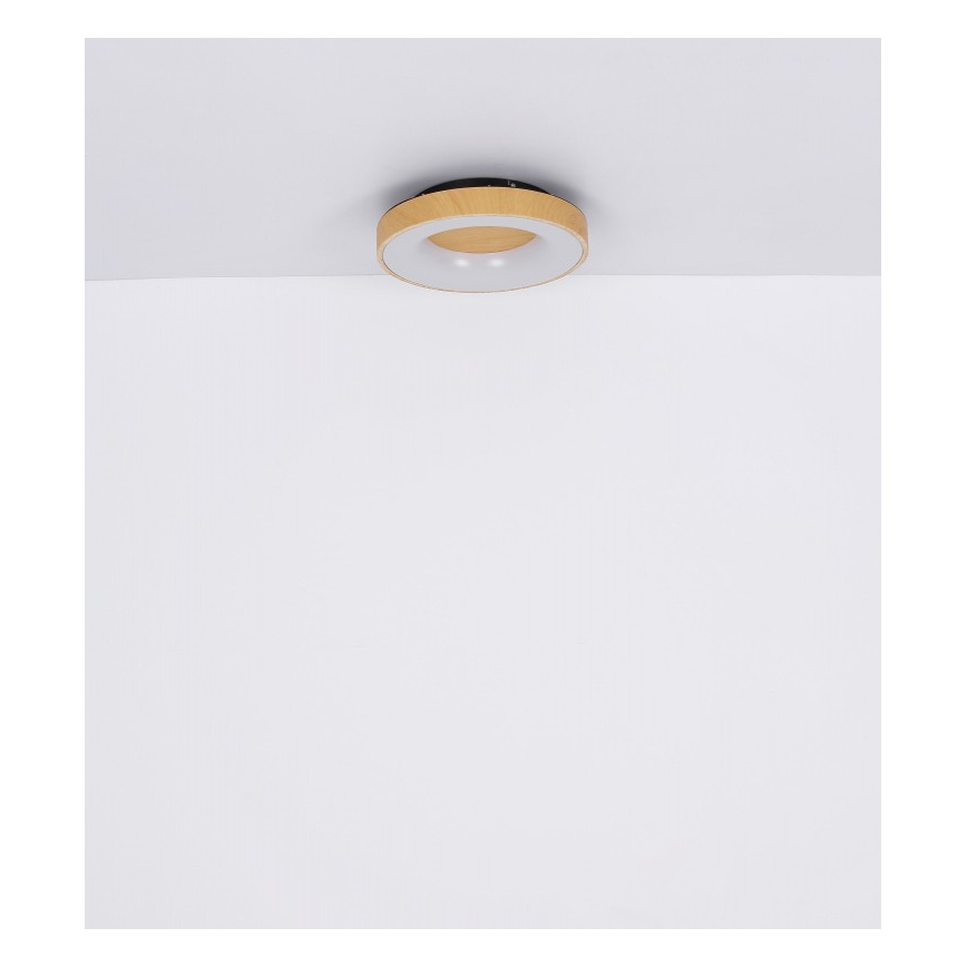 Globo - LED Stmievateľné stropné svietidlo LED/30W/230V + diaľkové ovládanie