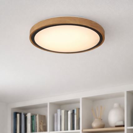 Globo - LED Stropné svietidlo LED/12W/230V 307 mm 3000/4500/6000K