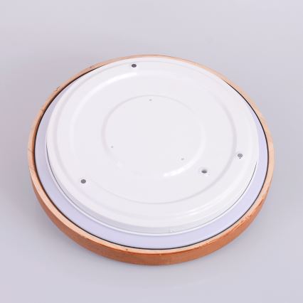 Globo - LED Stropné svietidlo LED/12W/230V 307 mm 3000/4500/6000K