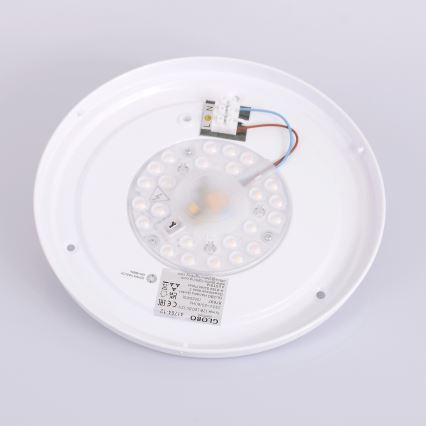 Globo - LED Stropné svietidlo LED/12W/230V 307 mm 3000/4500/6000K