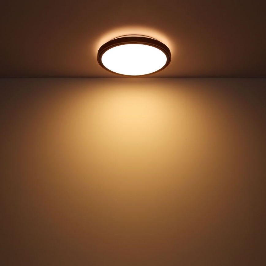 Globo - LED Stropné svietidlo LED/12W/230V 307 mm 3000/4500/6000K