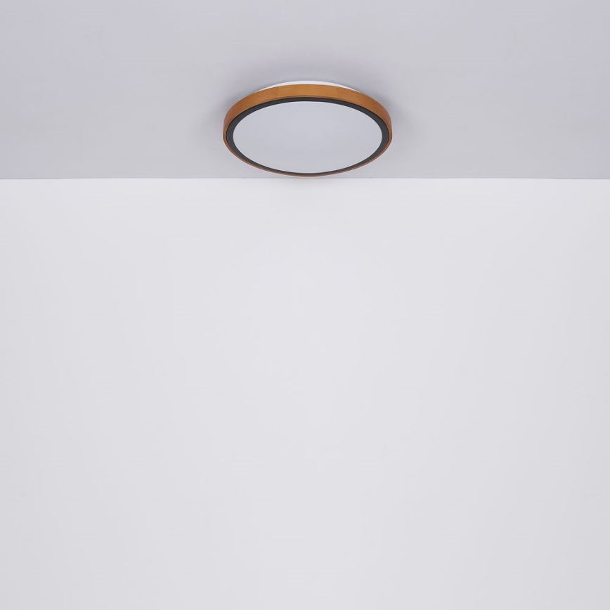 Globo - LED Stropné svietidlo LED/12W/230V 307 mm 3000/4500/6000K
