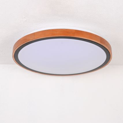 Globo - LED Stropné svietidlo LED/24W/230V 3000/4500/6000K pr. 43,7 cm