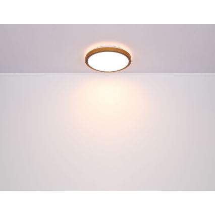 Globo - LED Stropné svietidlo LED/12W/230V 3000/4500/6000K pr. 30 cm