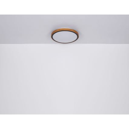 Globo - LED Stropné svietidlo LED/12W/230V 3000/4500/6000K pr. 30 cm