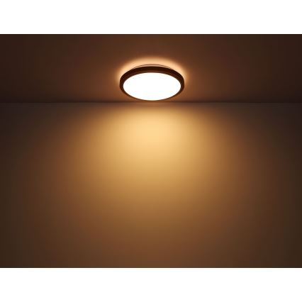 Globo - LED Stropné svietidlo LED/24W/230V 3000/4500/6000K pr. 42 cm